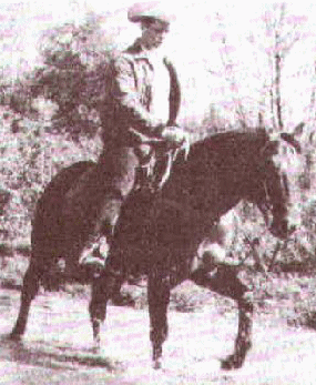 NIFTY BEE - AQHA High Point Performance Horse in 1965, producer of AQHA Champions and NRHA Hall of Fame producer!